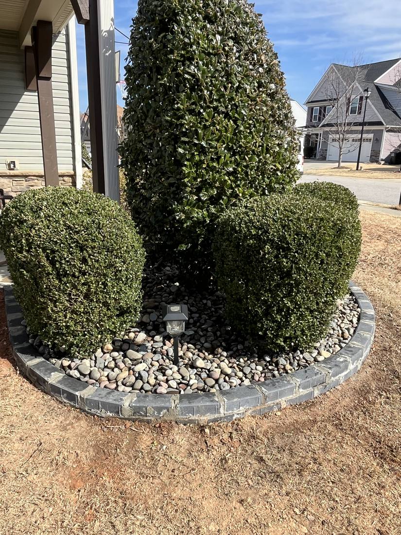 The same sculpted-bush bed finished with river rock inside the stone border