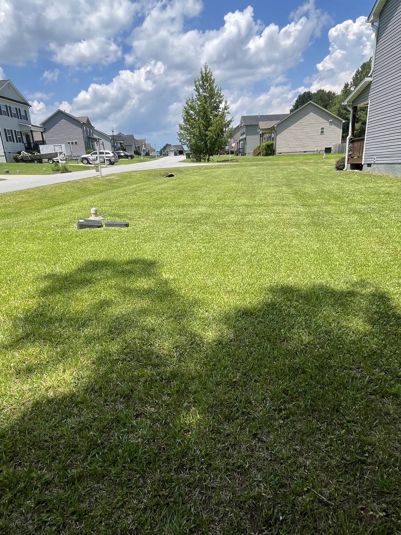 Freshly mowed striped lawn in a neighborhood