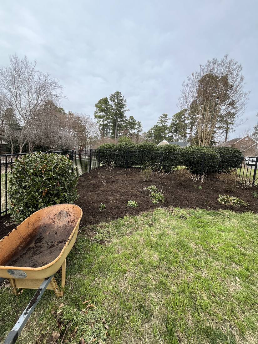 Wheelbarrow loaded with mulch beside beds being refreshed